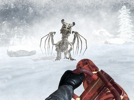 Play FPS games